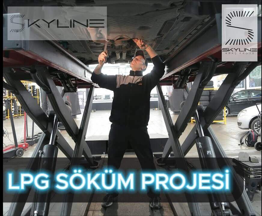 How is the LPG Dismantling Project Operated?